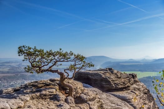 View from Lilienstein