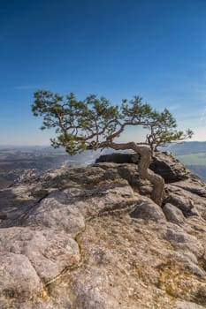View from Lilienstein