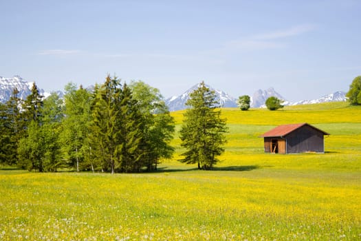 lovely panorama in the alps in Germany