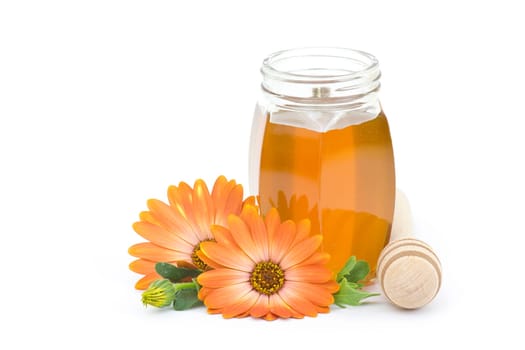 honey and flowers on white