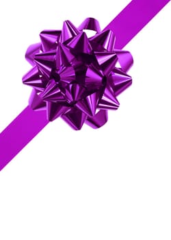 purple bow isolated