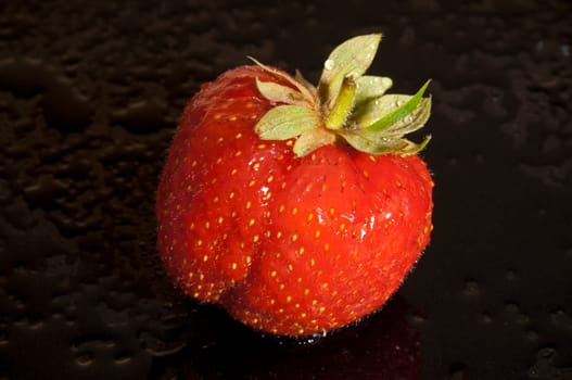 Strawberry fruits (Fragaria) in the studio