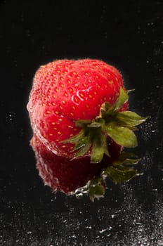 Strawberry fruits (Fragaria) in the studio