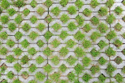 Concrete block with grass
