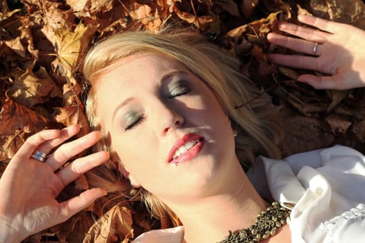 The autumn sun