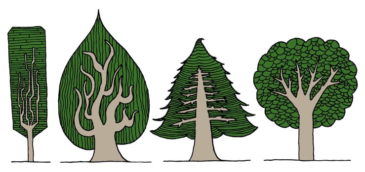 Hand drawn vector exotic tree set