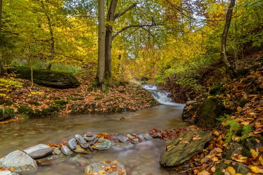 Wildbach in Thuringia