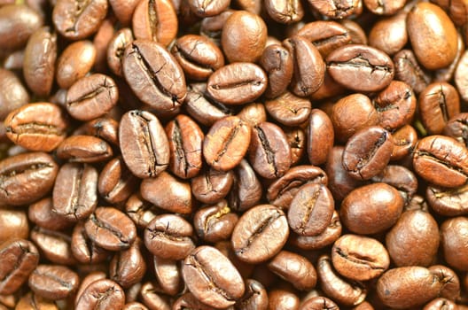 roasted coffee beans for background