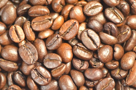 roasted coffee beans for background
