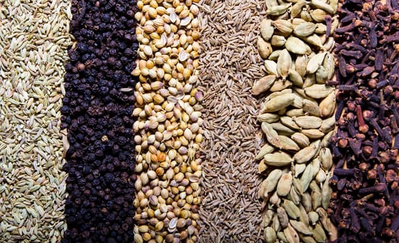 Row of dry spices background