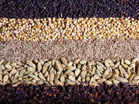 Row of dry spices background