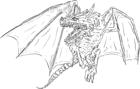 vector - flying dragon, isolated on background