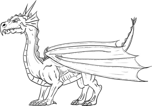 vector - dragon with wings , isolated on background