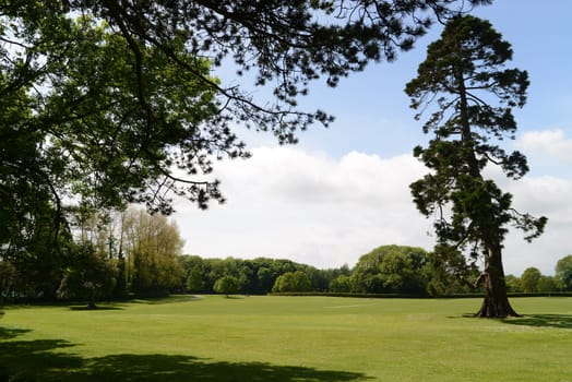 Grass and trees - green park in Malahide, Ireland.