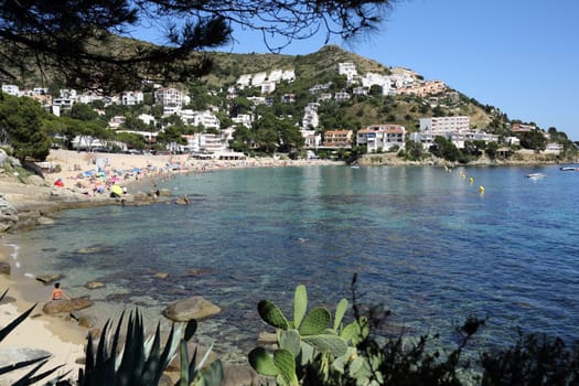 Details of a beach of Canyelles in Costa brava in Spain.