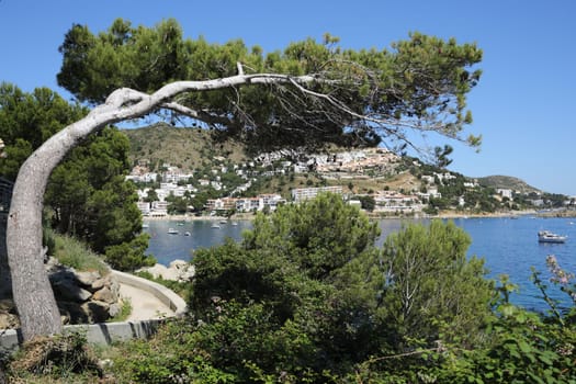 Details of a beach of Canyelles in Costa brava in Spain.