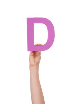 Hand Holds a Purple D, Isolated