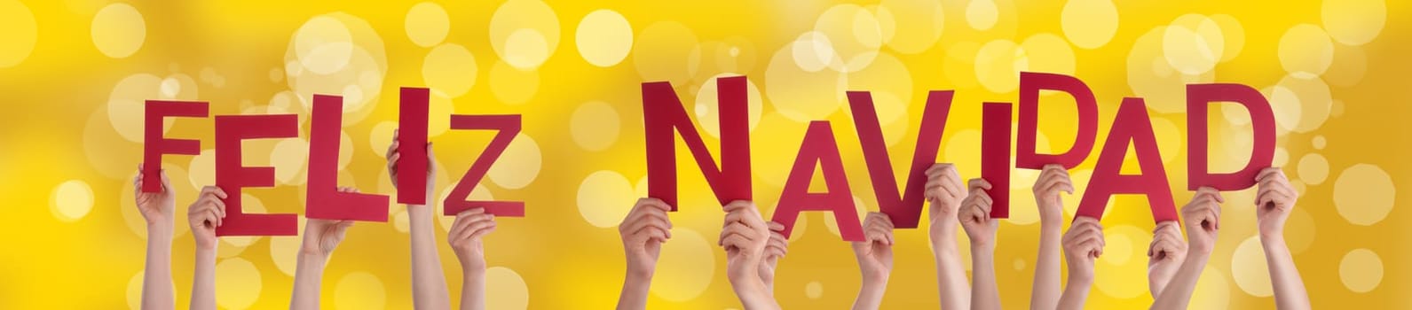 The Spanish Words Feliz Navidad Which Means Merry Christmas on a Golden Background