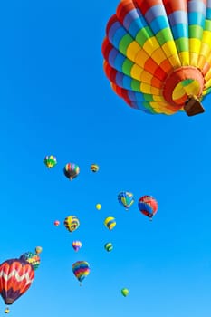 colorful hot air balloons