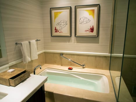 water filled bathtub ready for bathing