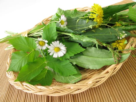 Wild herbs in the basket