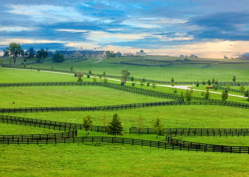 Scenic overlook of a horse farm in Central Kentucky