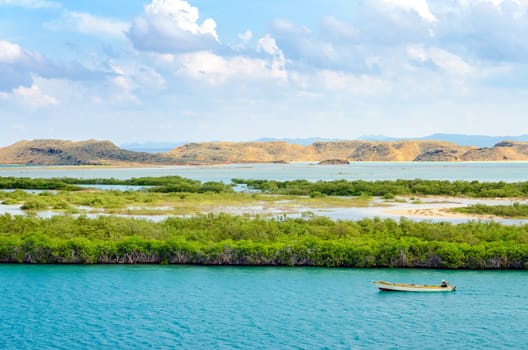 Boat passing by mangrove trees in the Caribbean Sea