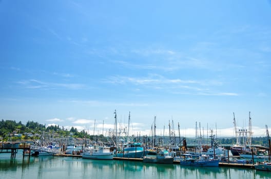 Boats in Yaquina Bay in Newport, Oregon