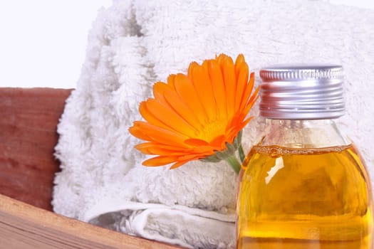 Calendula for wellness