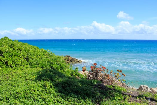 Extraordinarily gorgeous view from Deerfield Beach of soft blue turquoise waters with various pretty plants and rocks on a spectacular sunny blue sky with puffy clouds winter day in Florida.