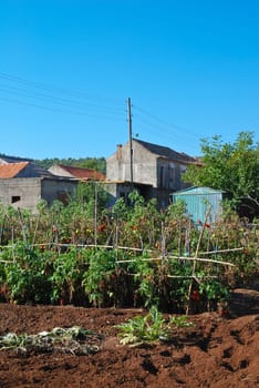 Old farmhouse with vegetable garden in Croatia