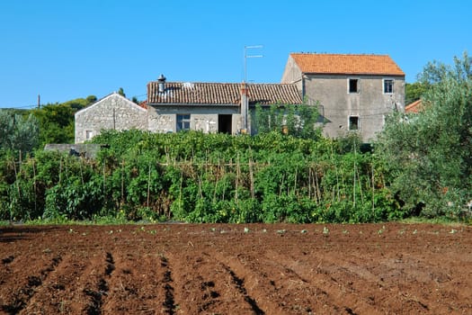 Farmhouse with vegetable garden