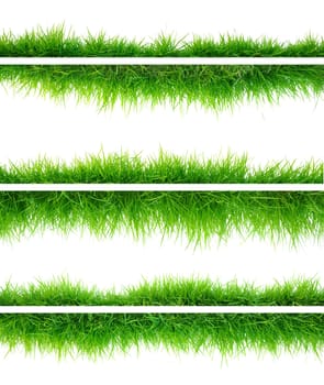 Grass