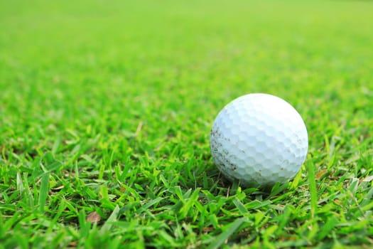 golf ball in fairway