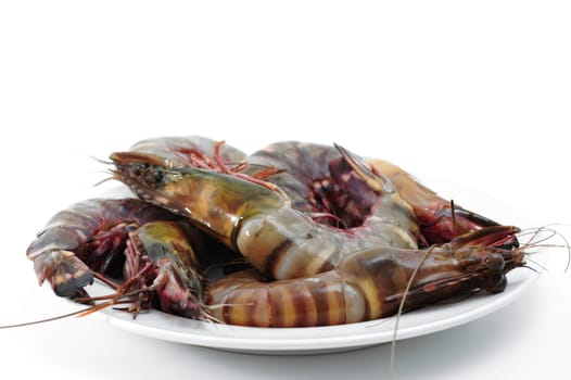 Tiger shrimp isolated on white