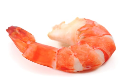 shrimp isolated on white