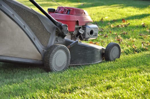 Lawnmower at autumn