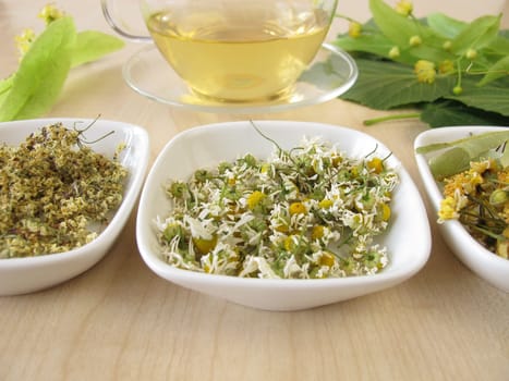 Tea and tea herbs