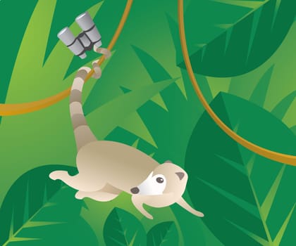 Little coati stole some binoculars