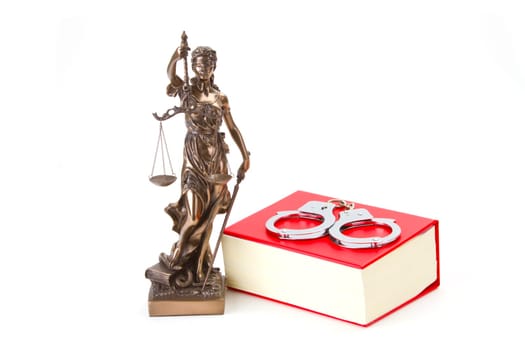 Judicial policy with code exempted on white background