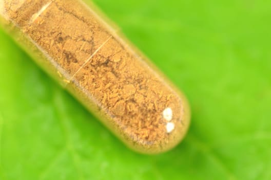 closeup of herbal capsules on melissa leaf isolated on white background