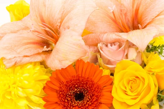 Individual flowers,roses,amaryllis,chrysanthemums as a carpet of flowers