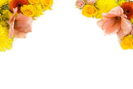 Individual flowers,roses,amaryllis,chrysanthemums as picture frames