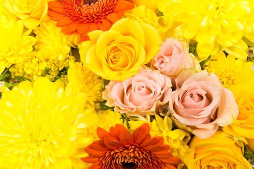Individual flowers,roses,gerberas,chrysanthemums as a carpet of flowers