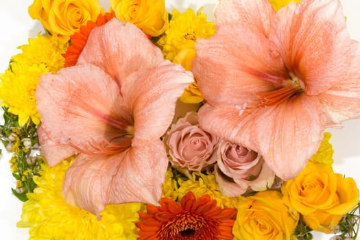 Individual flowers,roses,amaryllis,chrysanthemums as a carpet of flowers