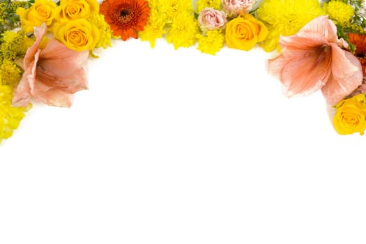 Individual flowers,roses,amaryllis,chrysanthemums as picture frames