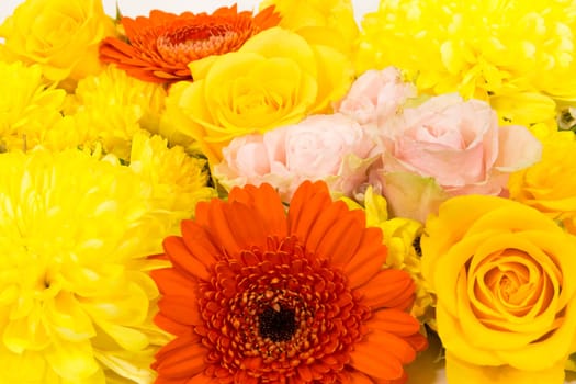 Individual flowers,roses,gerberas,chrysanthemums as a carpet of flowers