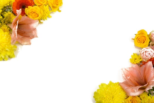 Individual flowers,roses,amaryllis,chrysanthemums as picture frames