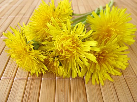 Bouquet of dandelion flowers