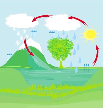 cycle water in nature environment